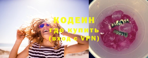 прущие грибы Аркадак