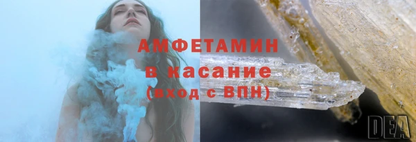 прущие грибы Аркадак