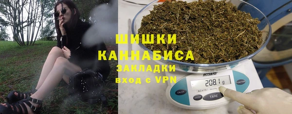 прущие грибы Аркадак