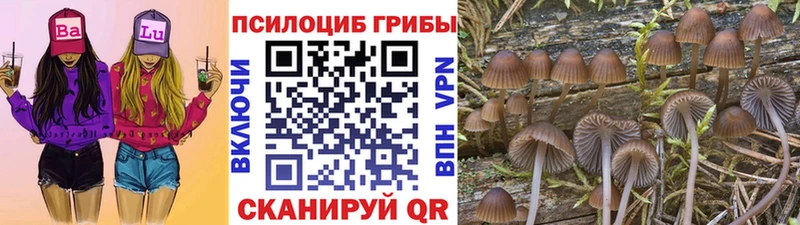 Галлюциногенные грибы мухоморы  Спас-Деменск 